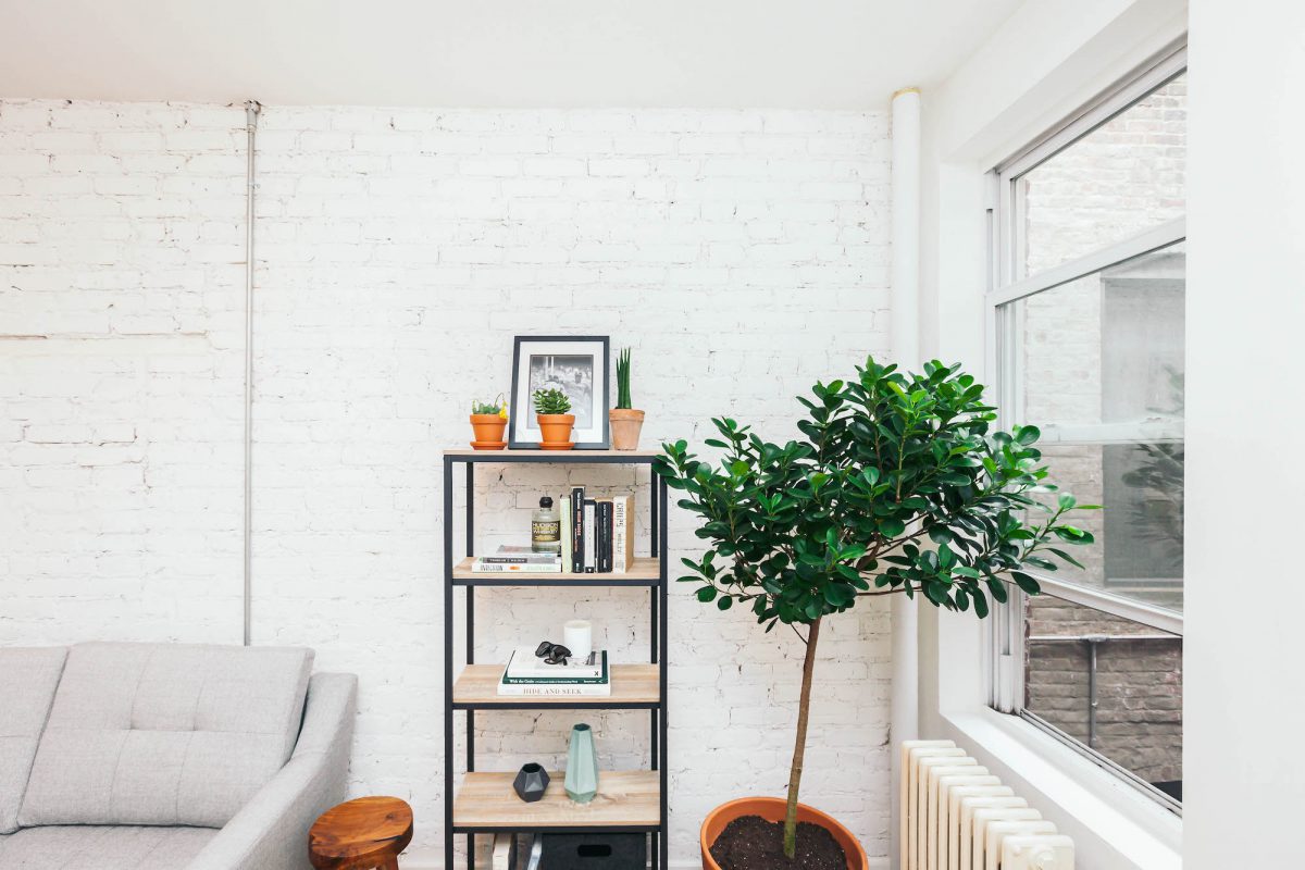 Styled bookcase