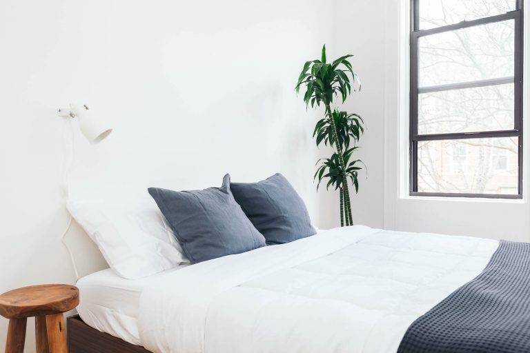 Minimalist bedroom with white walls, side table and plant